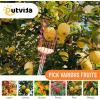 imageOutvita 13FT Fruit Picker Adjustable Fruits Picker Tool with Basket Telescoping Long Handle Fruit Catcher Equipment Tree Picker for Apples Mango Pear Orange Avocados Fruit Picking