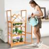 imageOutvita 3Tier Wooden Cold Frame Greenhouse 28quot L x 16quot W x 52quot H Portable Raised Flower Planter Cabinet with Transparent Acrylic Panels ampamp Openable RoofMini Greenhouse Shelves for Outdoor Indoor