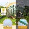 imageOutvita 6x10 FT Greenhouses for Outdoors Polycarbonate Greenhouse Large Walkin Greenhouse with Quick Setup Structure and Roof Vent Green Houses for Outside Garden Backyard Patio Black6x10ftGreen