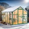 imageOutvita 6x10 FT Greenhouses for Outdoors Polycarbonate Greenhouse Large Walkin Greenhouse with Quick Setup Structure and Roof Vent Green Houses for Outside Garden Backyard Patio Black6x10ftGreen