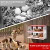 imageOutvita Chicken Nesting Box 8 Compartment Metal Nesting Box 8 Room Wall Mountable Nesting Boxes for Hen Red840L x 430W x 605H