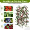 imageOutvita Garden Trellis for Climbing Plants 2 Pack 5 Ft Large Decorative Outdoor Cucumber Trellis Rust Proof Metal Vegetables Flowers Support for Tomatoes Vines RosesGrid Pattern5 FtGrid pattern