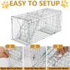 imageOutvita Live Animal Cage Trap 32quot Heavy Duty Folding Steel Cage Catch Release Humane Rodent Cage for Rabbits Stray Cat Squirrel Raccoon Mole Gopher Chicken Opossum Skunk ampamp ChipmunksSliver 32