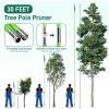 imageOutvita Manual Pole Saw 26 Feet Extendable Tree Pruner with Knives and Storage Pocket Sharp Steel Blade and Scissors High Branches Trimming for Pruning Palms and ShrubsOrangeGreen