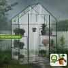 imageOutvita Mini Greenhouse Small PE Plant Green House with 4 Tiers Rack Shelf Clips Rollup Zipper Door Gardening Supplies for Indoor Outdoor Seedling Frost Protection  27quotx196quotx63quot WhitePVC Cover