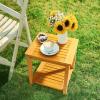 imageOutvita Patio Small Side Table Acacia Wood 18 inch DoubleDeck Coffee Table with Storage Tier for Living Room Garden Balcony Porch Deck BlackTeak Color