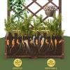 imageOutvita 45 Raised Garden Bed with Trellis Wood Planter Box with Hanging Roof Side Trellis and Drainage Holes Above Ground Elevated Garden Bed for Outdoor Climbing Plants VegetablesTeak ColorBrown