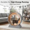imageOutvita Cat Exercise Wheel for Indoor Cats 315 Cat Treadmill with Detachable Carpet  Locking Mechanism Cats Running Wheel Helps Cats to Lose Weight and Keep Health Easy Assembled GrayGray