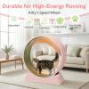 imageOutvita Cat Exercise Wheel for Indoor Cats 315 Cat Treadmill with Detachable Carpet  Locking Mechanism Cats Running Wheel Helps Cats to Lose Weight and Keep Health Easy Assembled GrayPink