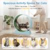 imageOutvita Cat Exercise Wheel for Indoor Cats 315 Cat Treadmill with Detachable Carpet  Locking Mechanism Cats Running Wheel Helps Cats to Lose Weight and Keep Health Easy Assembled GrayBlue