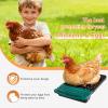 imageOutvita Chicken Nesting Boxes 8 Compartments Metal Nesting Boxes for Chickens with Metal Legs Wall Mount for Laying Eggs with Swing Perch and Roll Away Egg Collection for Chicken Coop RedGreen