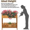 imageOutvita Raised Garden Bed 37 L x 13 W x 35 H Wood Planter Box Outdoor Wooden Elevated Planter Standing Gardening Box with Legs amp Storage Shelf for Vegetable Fruits Flower Herb in Patio amp Garden