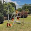 imageOutvita Chicken Coop Roosting Perch Farm Roost Toys for Chicks Chicken Toys for Coop Accessories for Backyard Poultry Easy to Assemble amp Clean42L x 19W x 395H