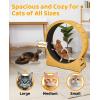 imageOutvita Cat Exercise Wheel for Quiet Running Indoor Use 394 Cat Treadmill with Detachable Carpet Cats Exerciser Helps Cats to Lose Weight and Keep Health Easy to Install Natural Wood394 in